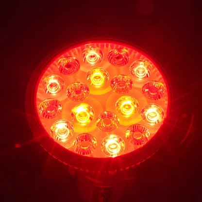 Red Light Therapy Bulb