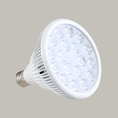 Red Light Therapy Bulb